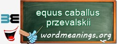 WordMeaning blackboard for equus caballus przevalskii